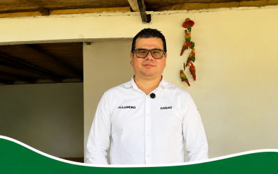 ¿Cómo mejorar la productividad del cacao? 