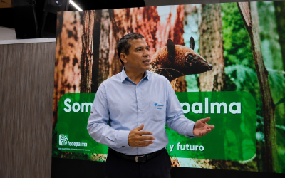 En septiembre cita para el sector palmero