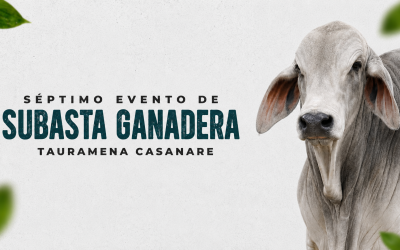 ¿Está listo para hacer el próximo gran negocio con su ganado?