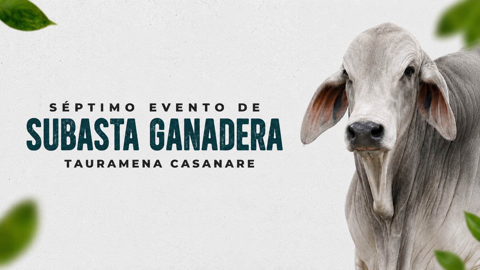 Subasta Ganadera