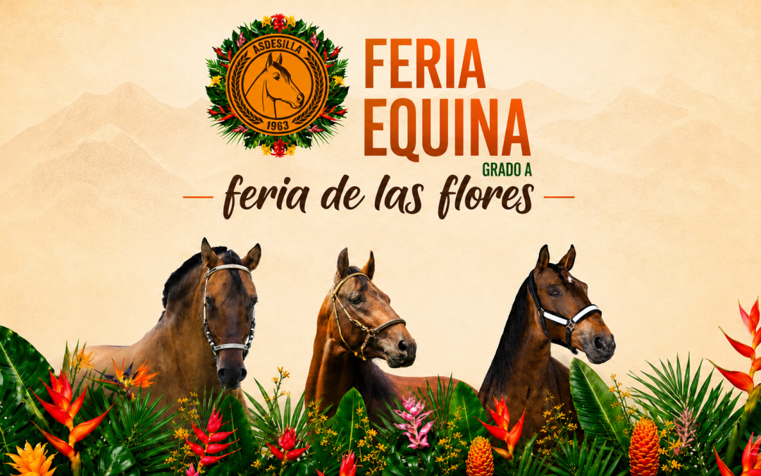 El caballo criollo colombiano llega a conquistar la Feria de las Flores