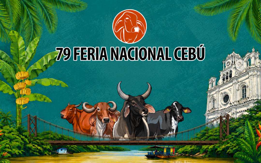 ¿Quiere conocer lo mejor de la genética bovina? ¡Montería lo espera!