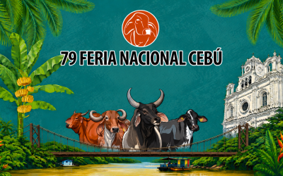 ¿Quiere conocer lo mejor de la genética bovina? ¡Montería lo espera!