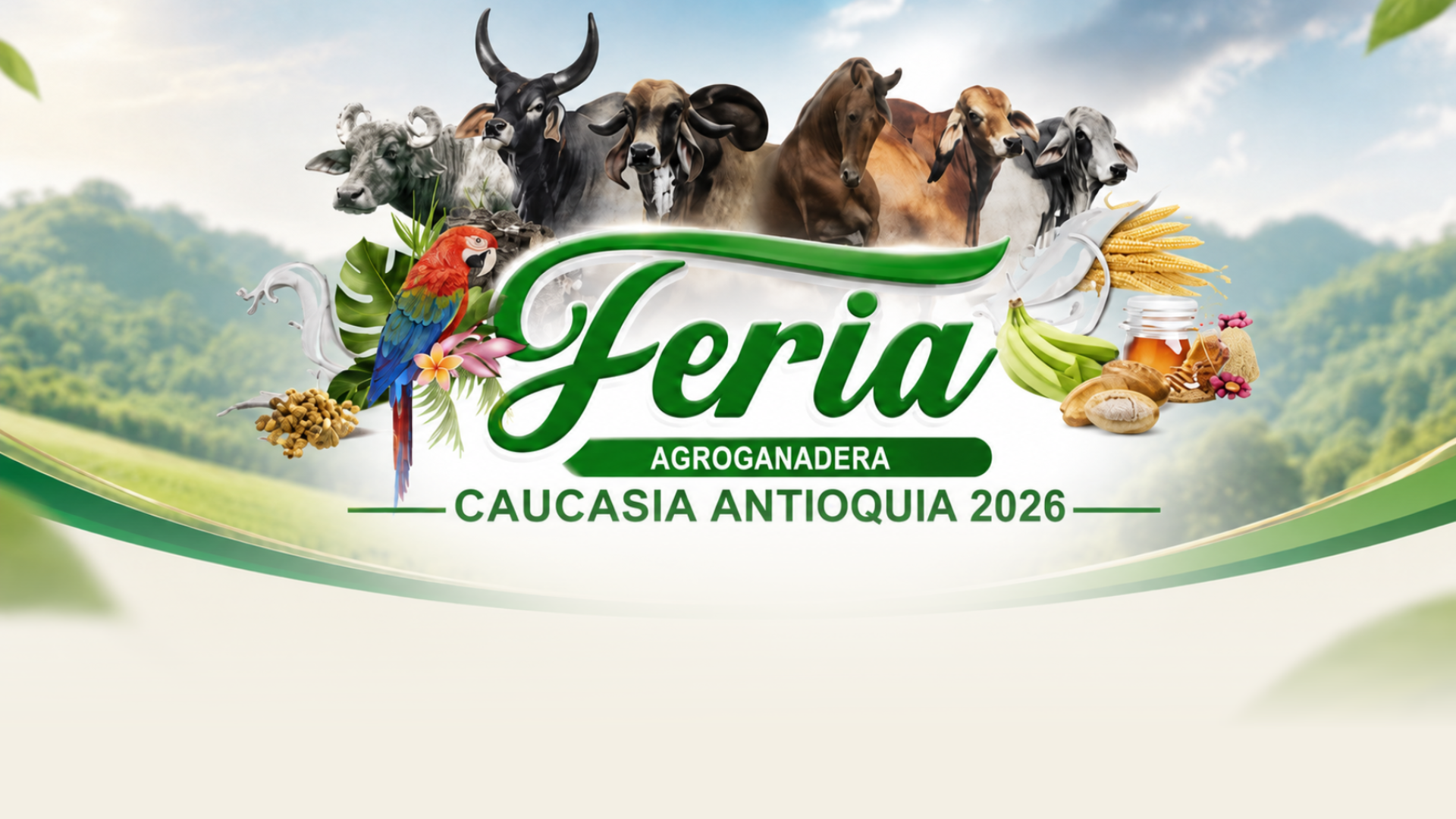 CAUCASIA CAUCASIA