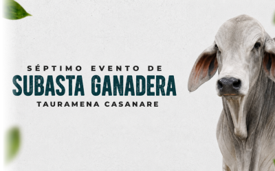 ¿Está listo para hacer el próximo gran negocio con su ganado?