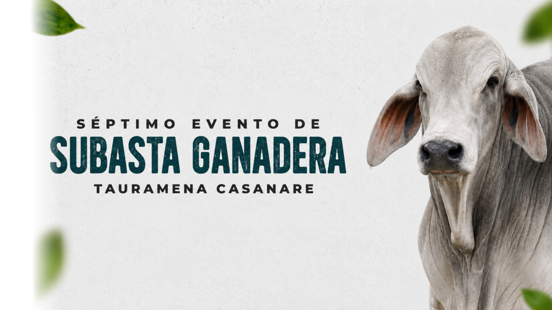 ganadera Subasta Ganadera