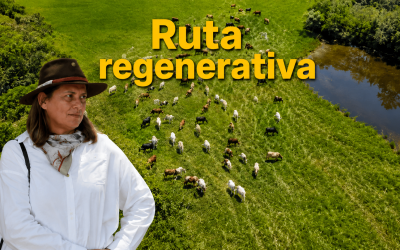 Únete a la experiencia de producción pecuaria en Cumaral
