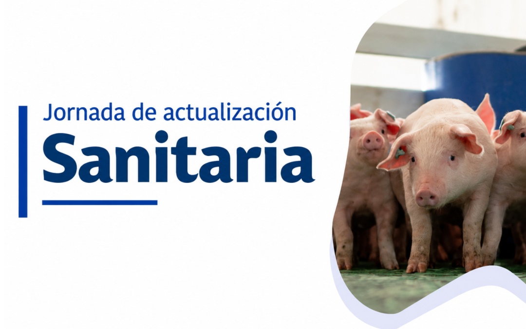 ¿Haces parte del sector porcícola? No te pierdas esta jornada